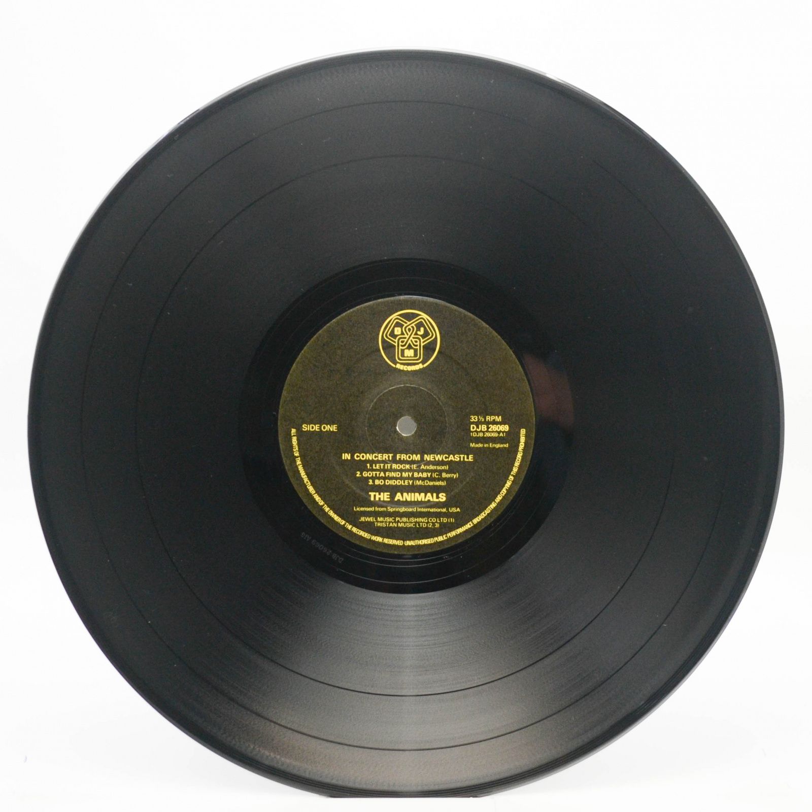 Animals — In Concert From Newcastle (UK), 1976