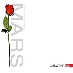 A Beautiful Lie