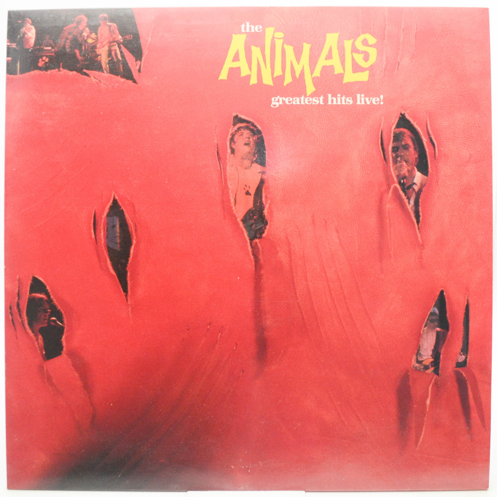 Animals — Greatest Hits Live!, 1984