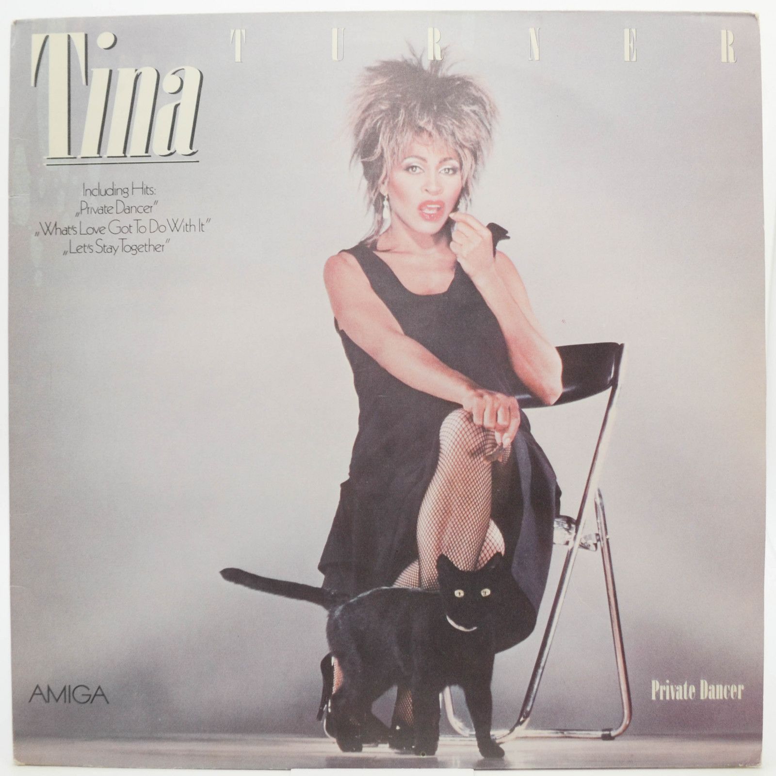 Tina Turner — Private Dancer, 1985