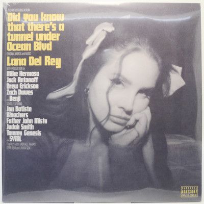 Виниловая пластинка Did You Know That There's A Tunnel Under Ocean Blvd (2LP), 2023