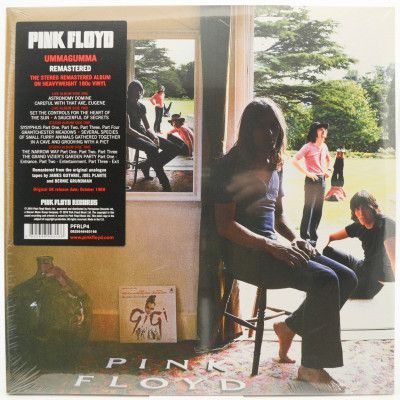 Виниловая пластинка Ummagumma (2LP), 1969