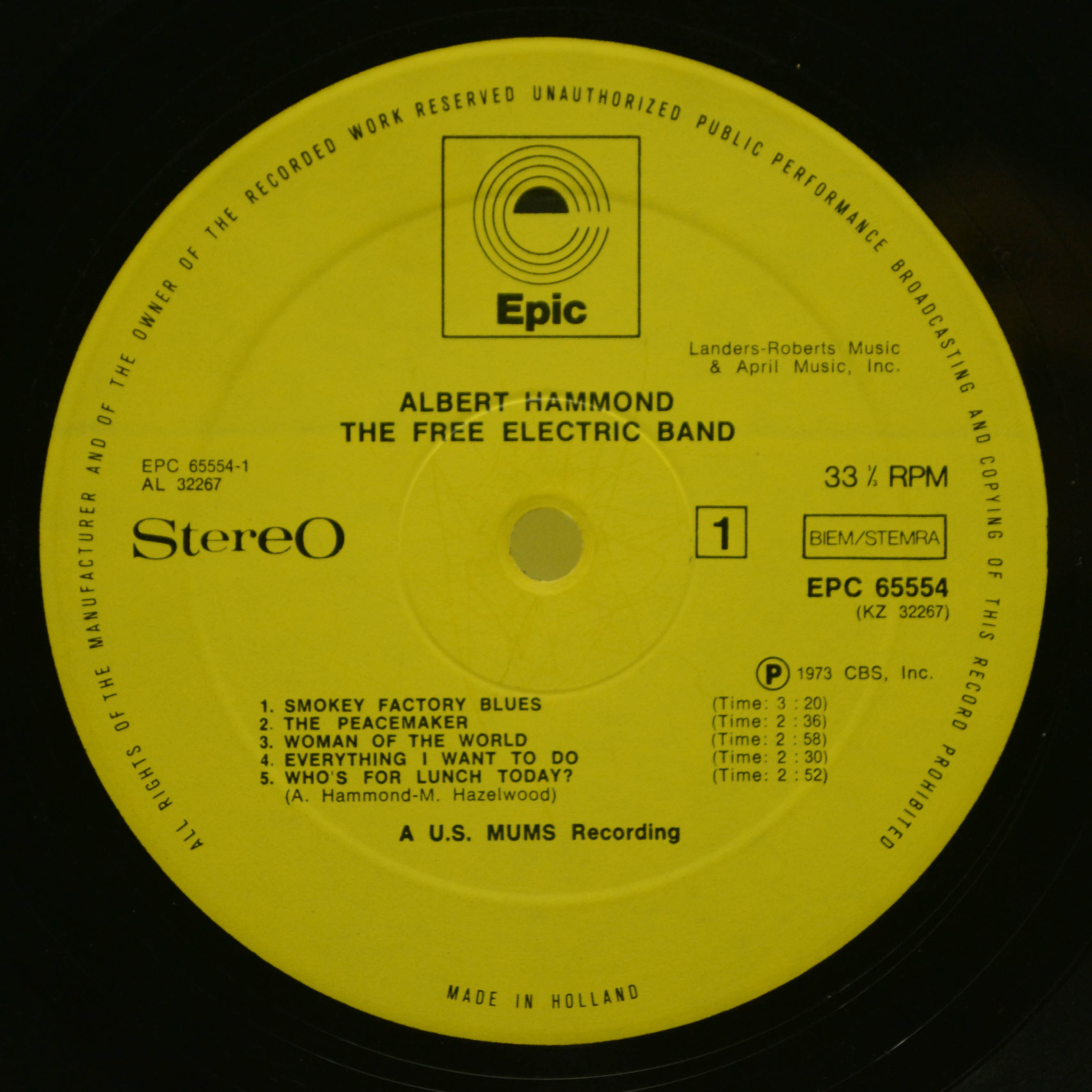 Виниловая пластинка Albert Hammond — The Free Electric Band, 1973