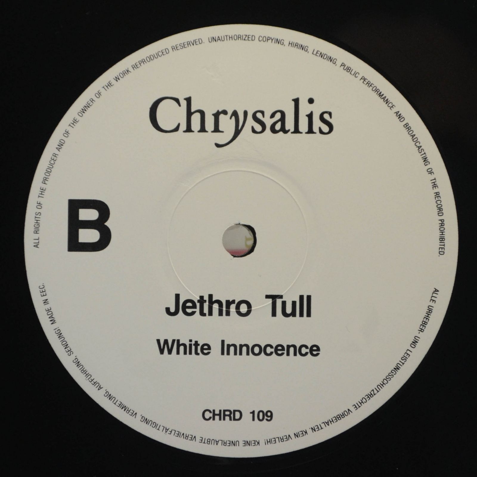 Jethro Tull — Catfish Rising, 1991