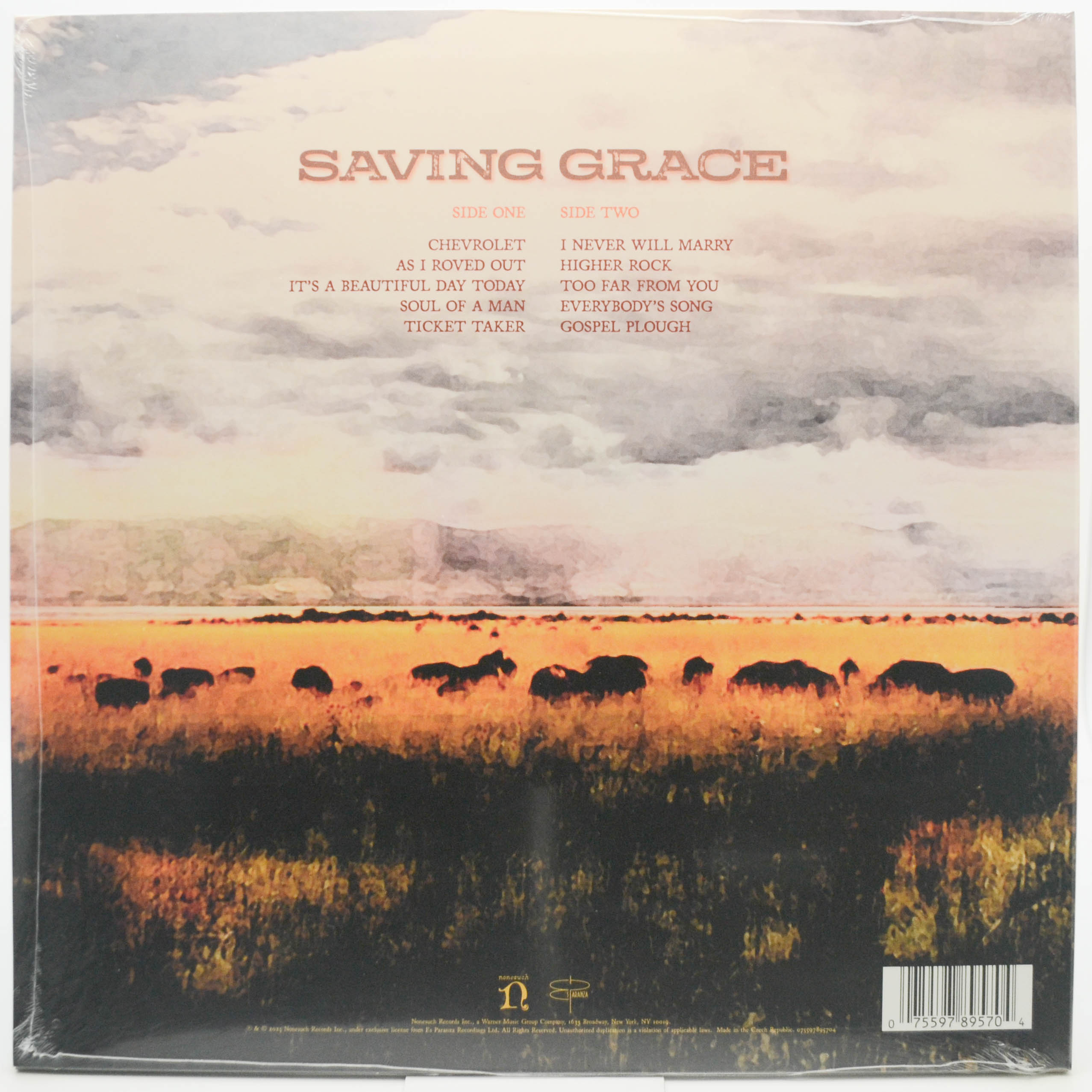 Виниловая пластинка Robert Plant With Suzi Dian — Saving Grace, 2025