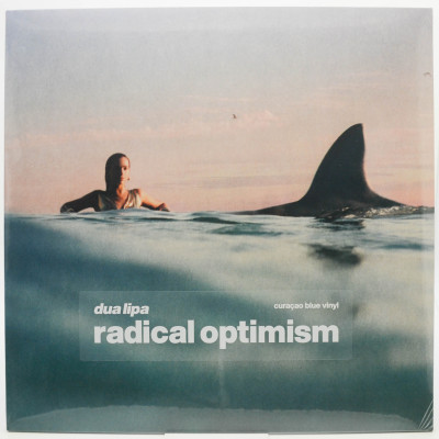 Виниловая пластинка Radical Optimism, 2024