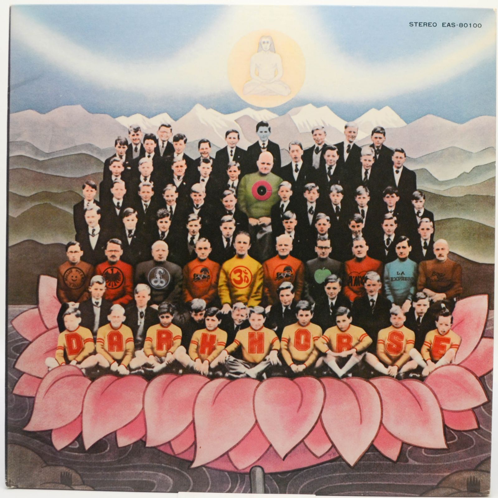 Виниловая пластинка Dark Horse, 1974