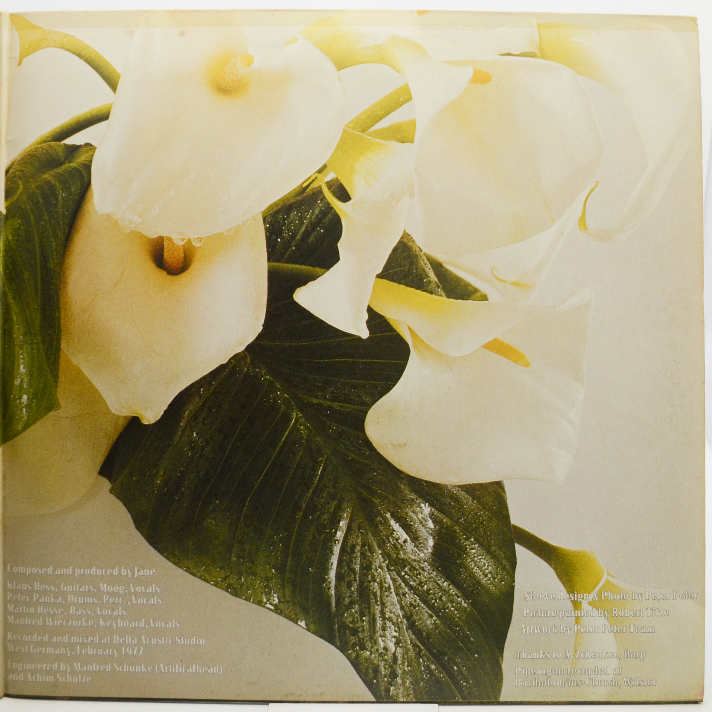 Виниловая пластинка Jane — Between Heaven And Hell (1-st, Germany), 1977