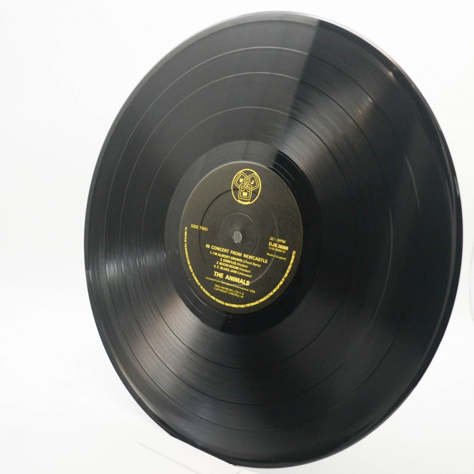 Animals — In Concert From Newcastle (UK), 1976