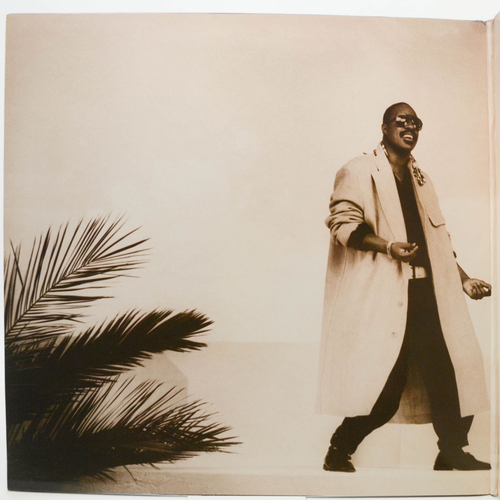 Виниловая пластинка Stevie Wonder — In Square Circle (booklet), 1985