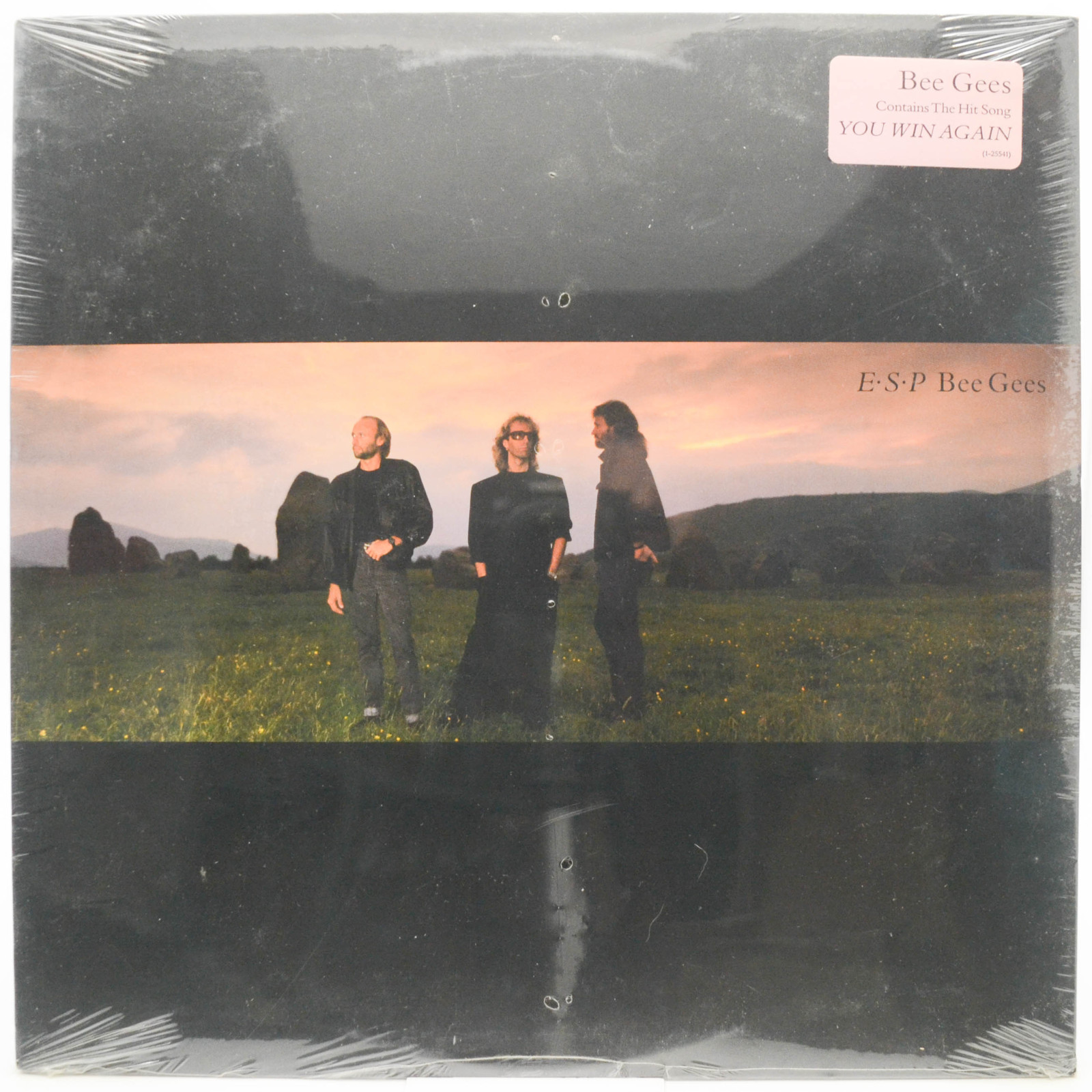 Bee Gees — E·S·P (USA), 1987