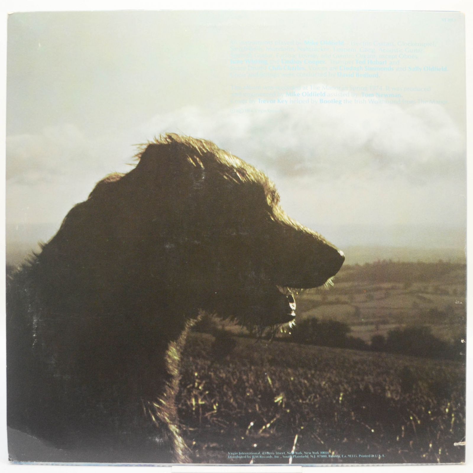 Mike Oldfield — Hergest Ridge (USA), 1974