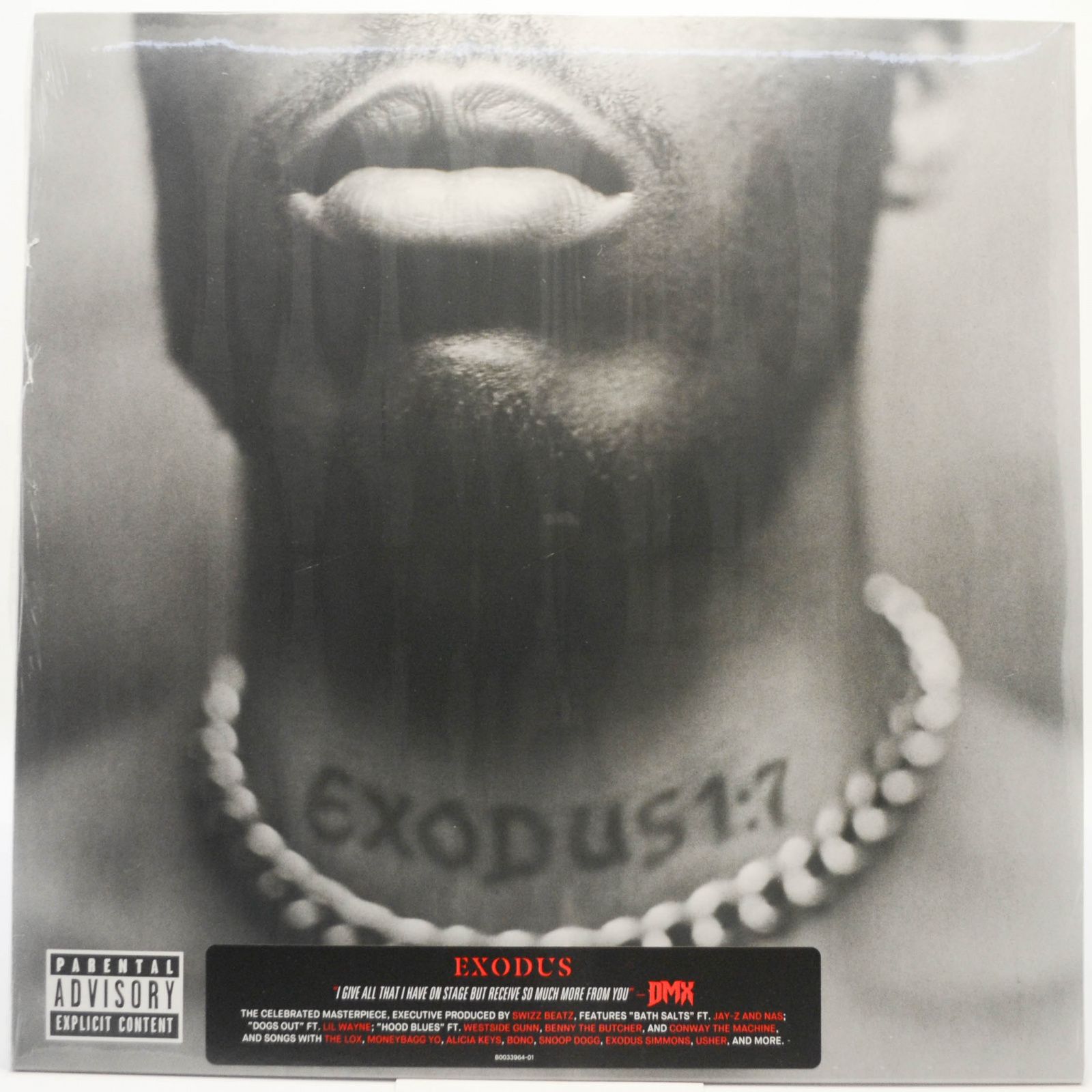 Виниловая пластинка DMX — Exodus, 2021