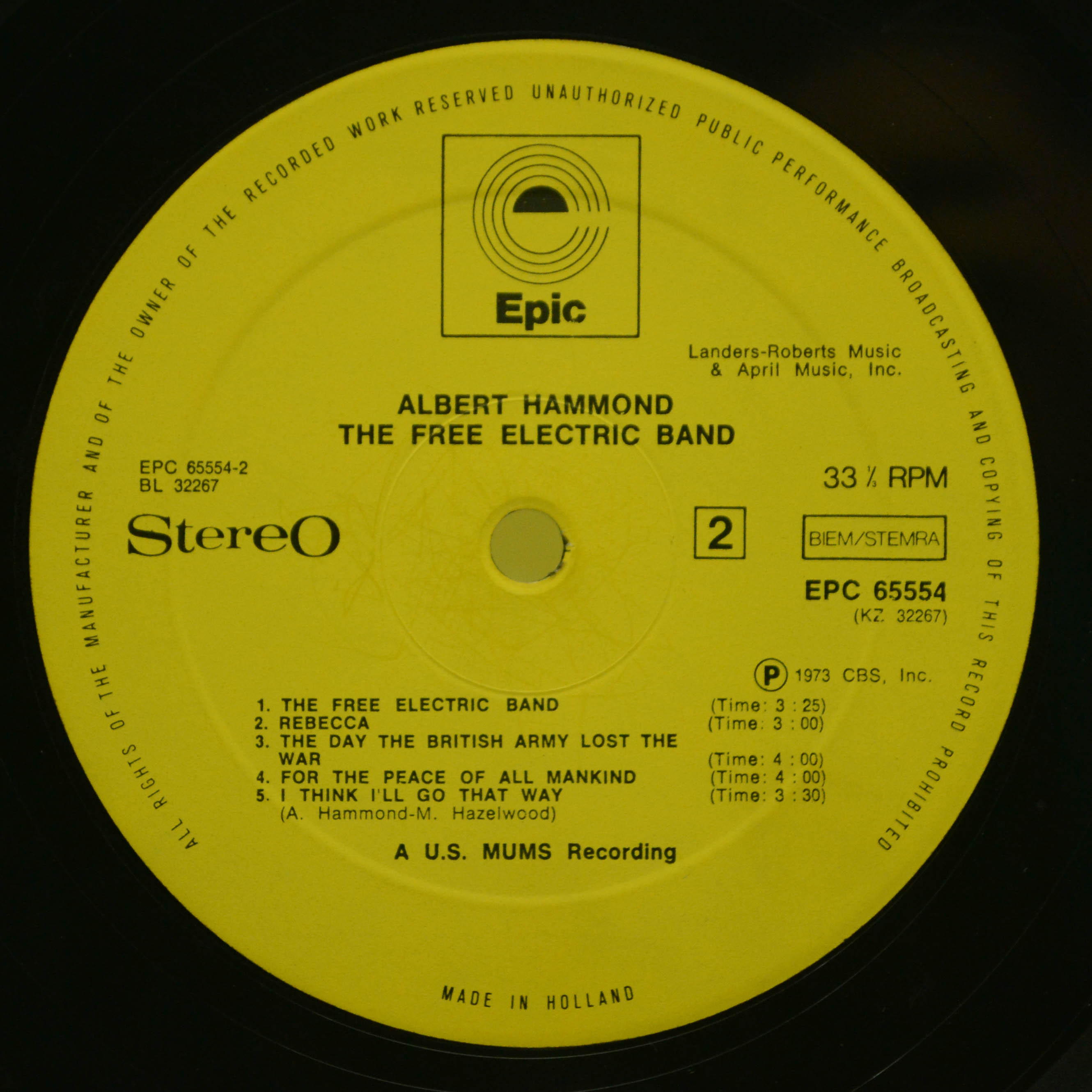 Виниловая пластинка Albert Hammond — The Free Electric Band, 1973