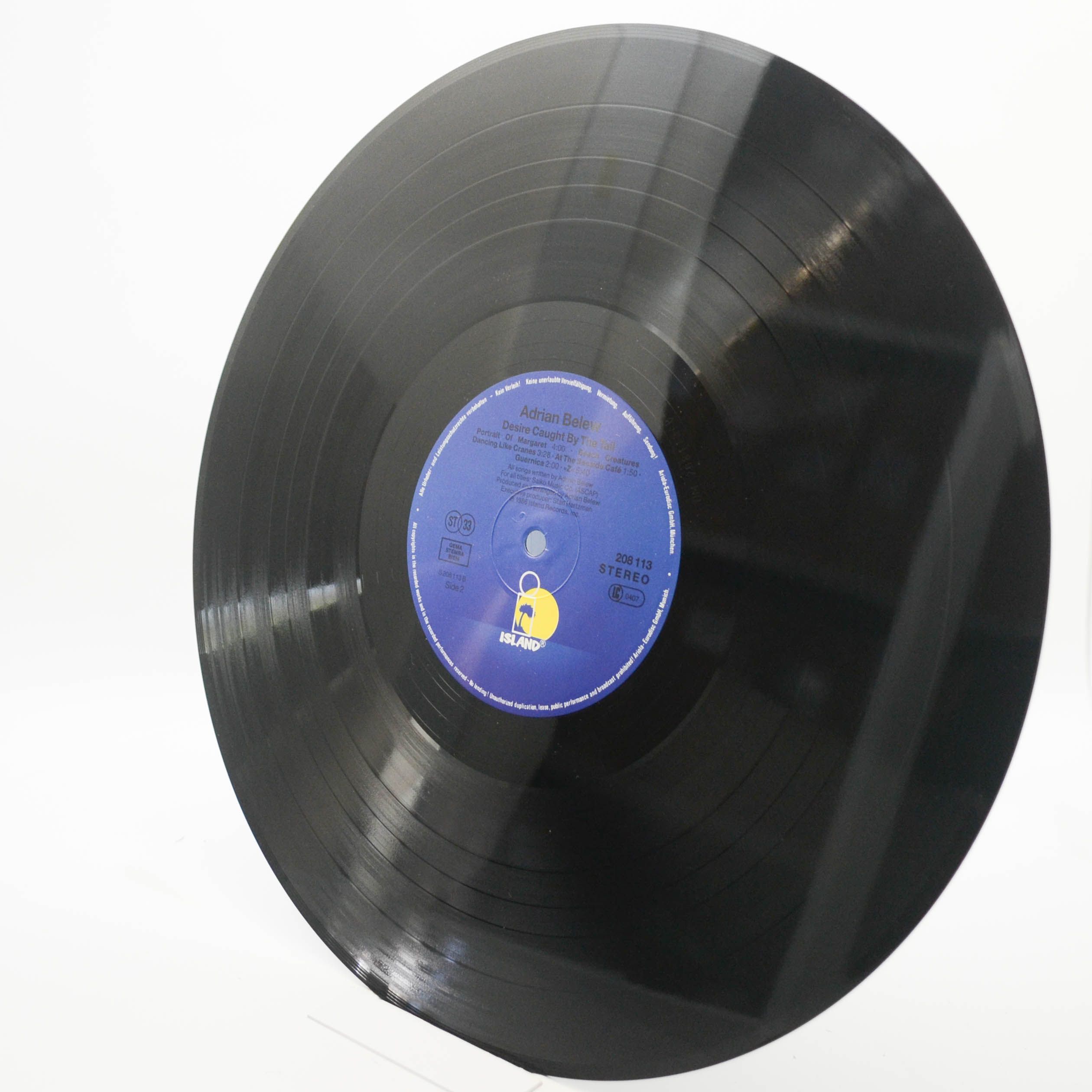 Adrian Belew — Desire Caught By The Tail, 1986