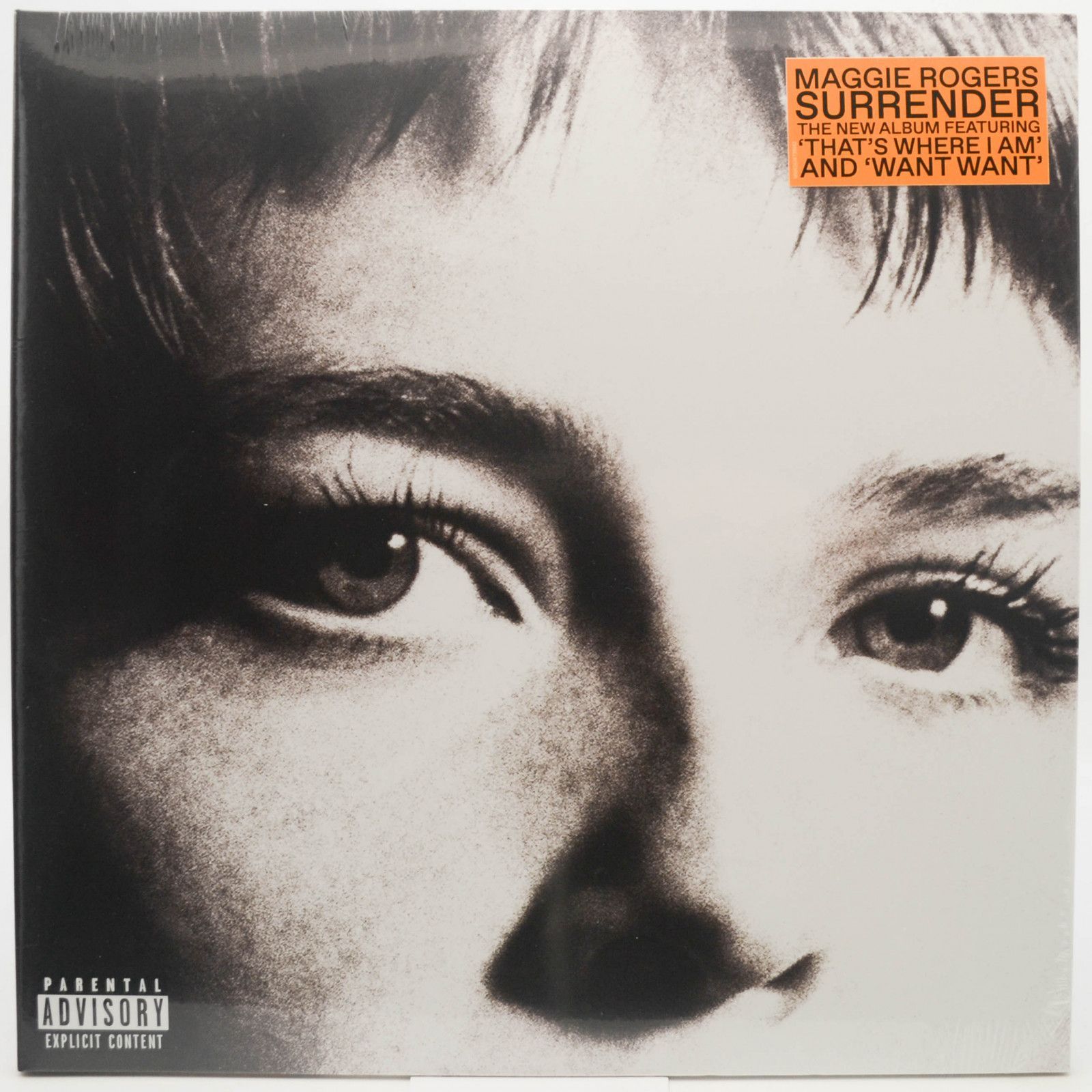 Виниловая пластинка Maggie Rogers — Surrender, 2022