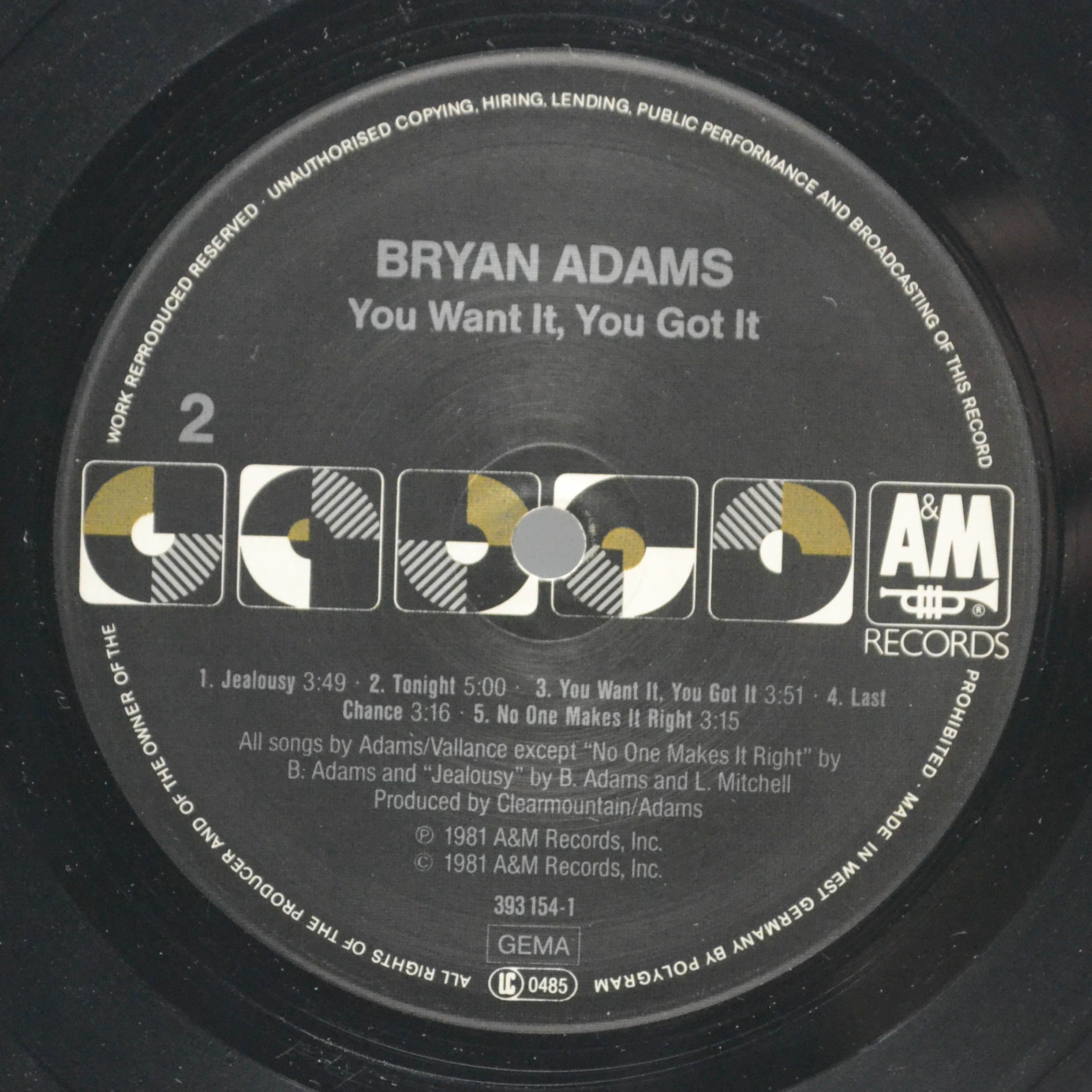 Виниловая пластинка Bryan Adams — You Want It, You Got It, 1981