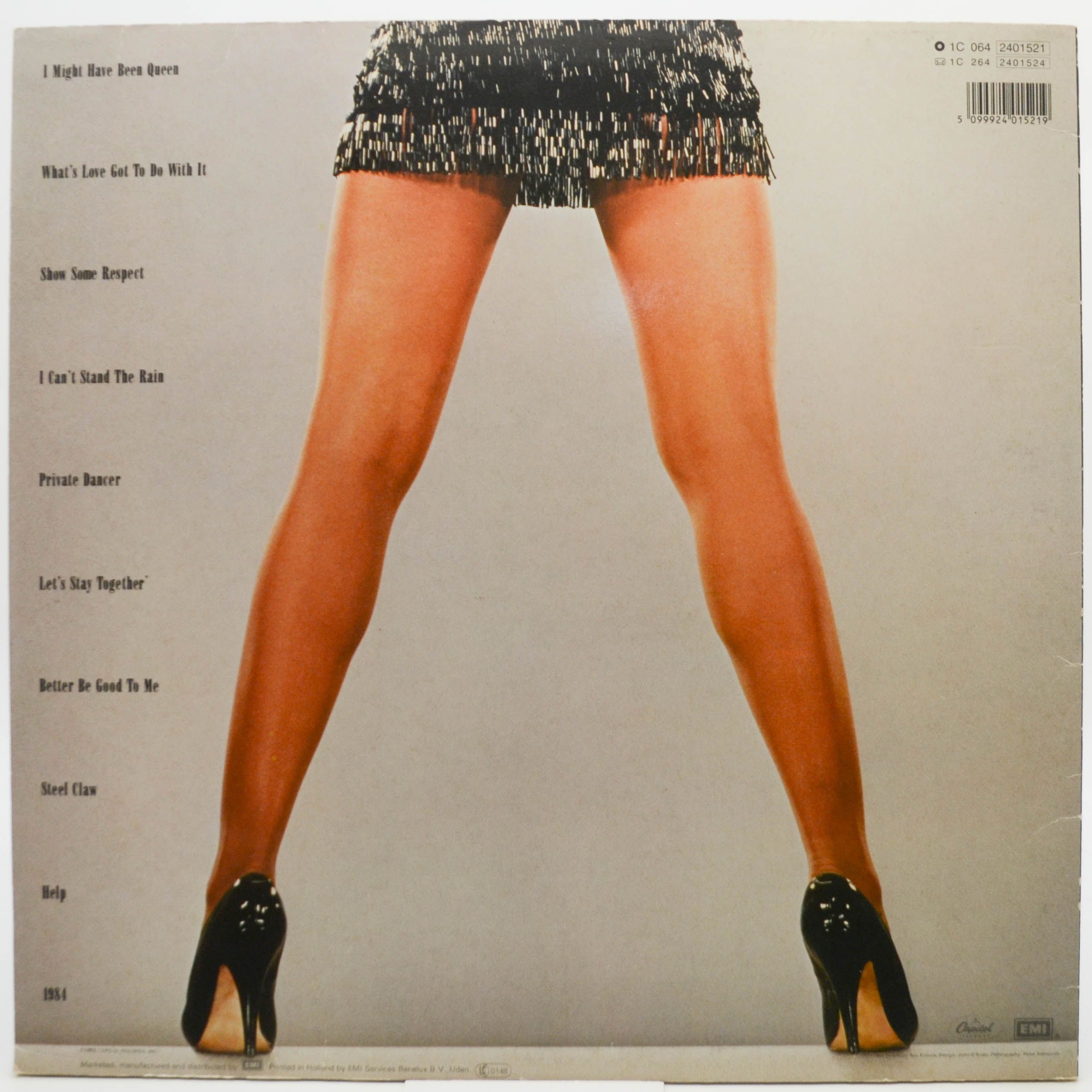 Tina Turner — Private Dancer, 1984