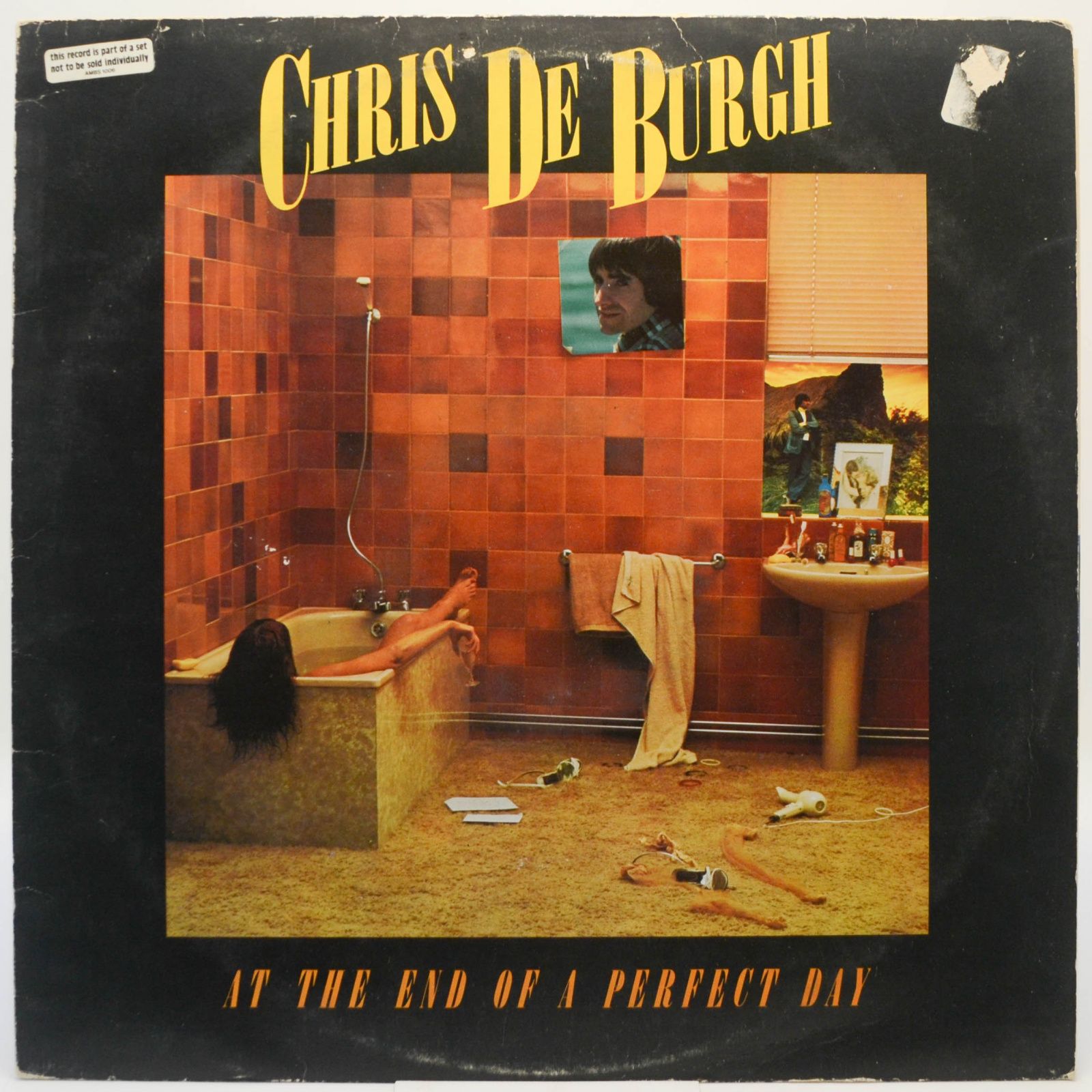 Виниловая пластинка At The End Of A Perfect Day, 1977