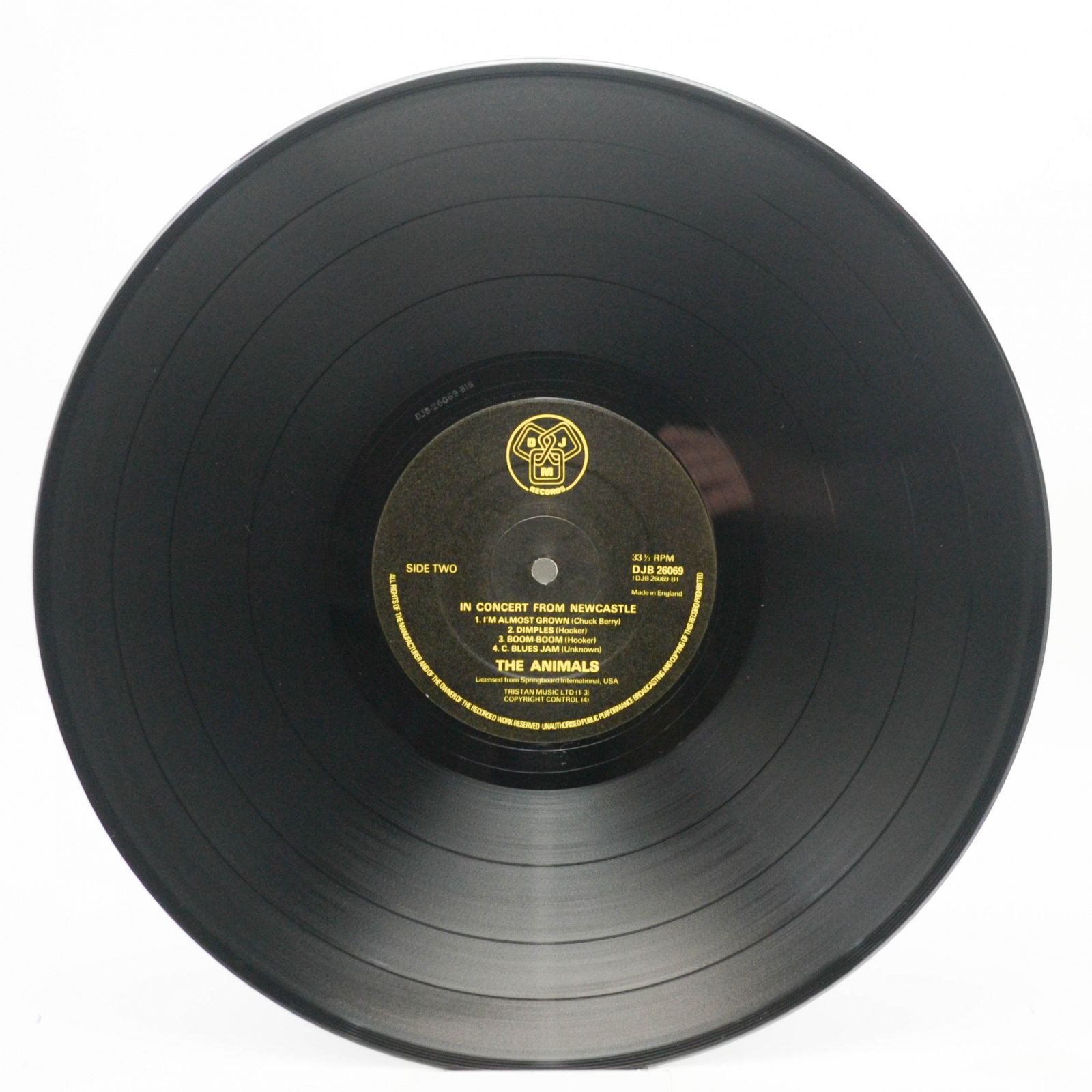 Animals — In Concert From Newcastle (UK), 1976