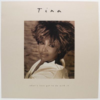 What's Love Got To Do With It, 1993