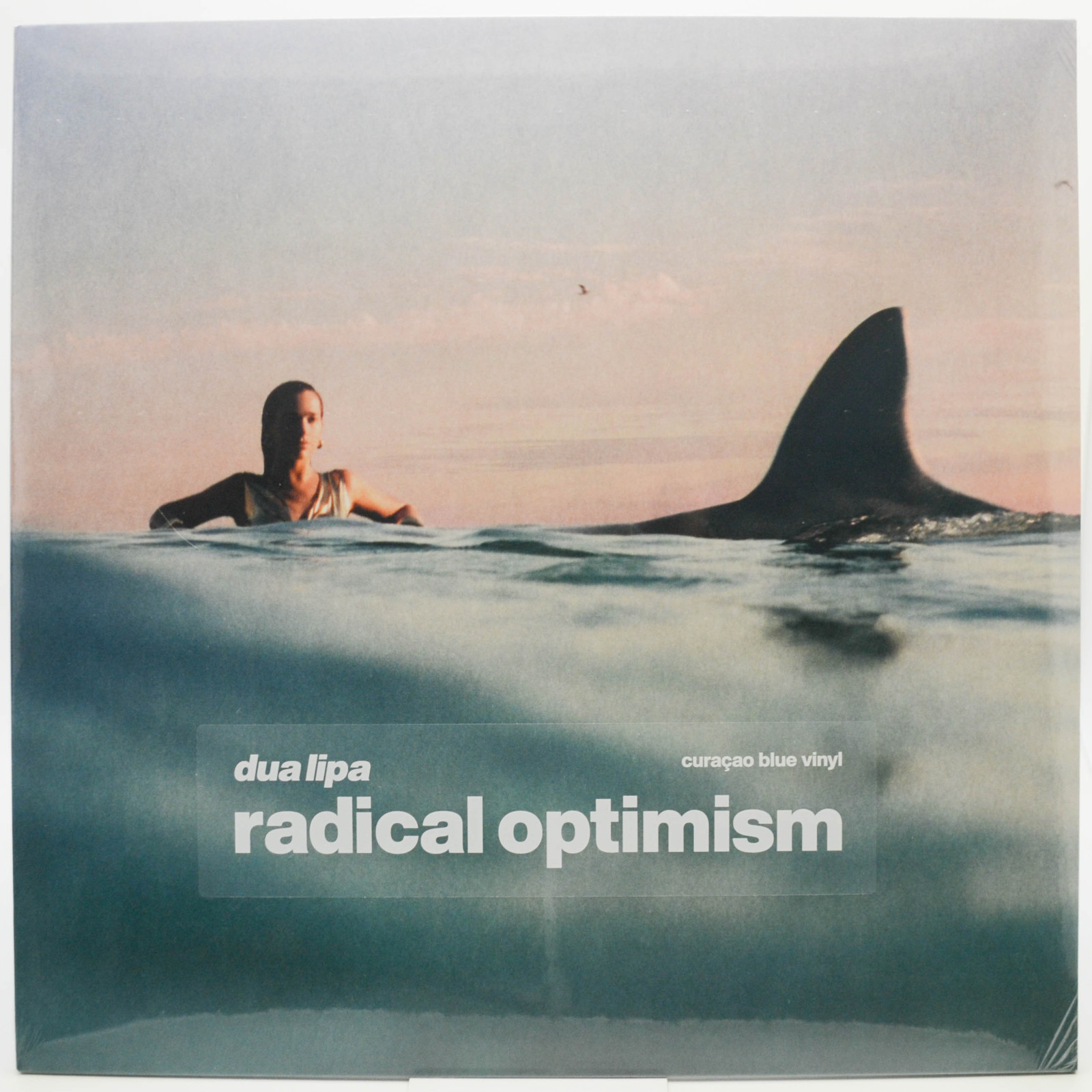 Виниловая пластинка Dua Lipa — Radical Optimism, 2024