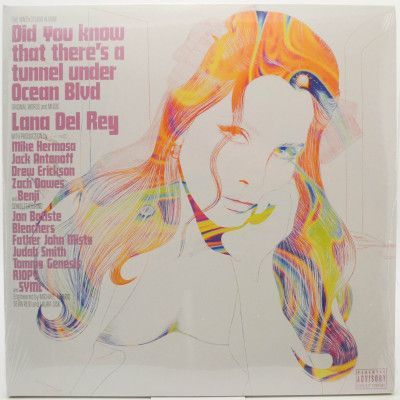Виниловая пластинка Did You Know That There’s A Tunnel Under Ocean Blvd (2LP), 2023