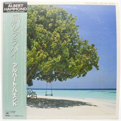 Виниловая пластинка Your World And My World, 1981