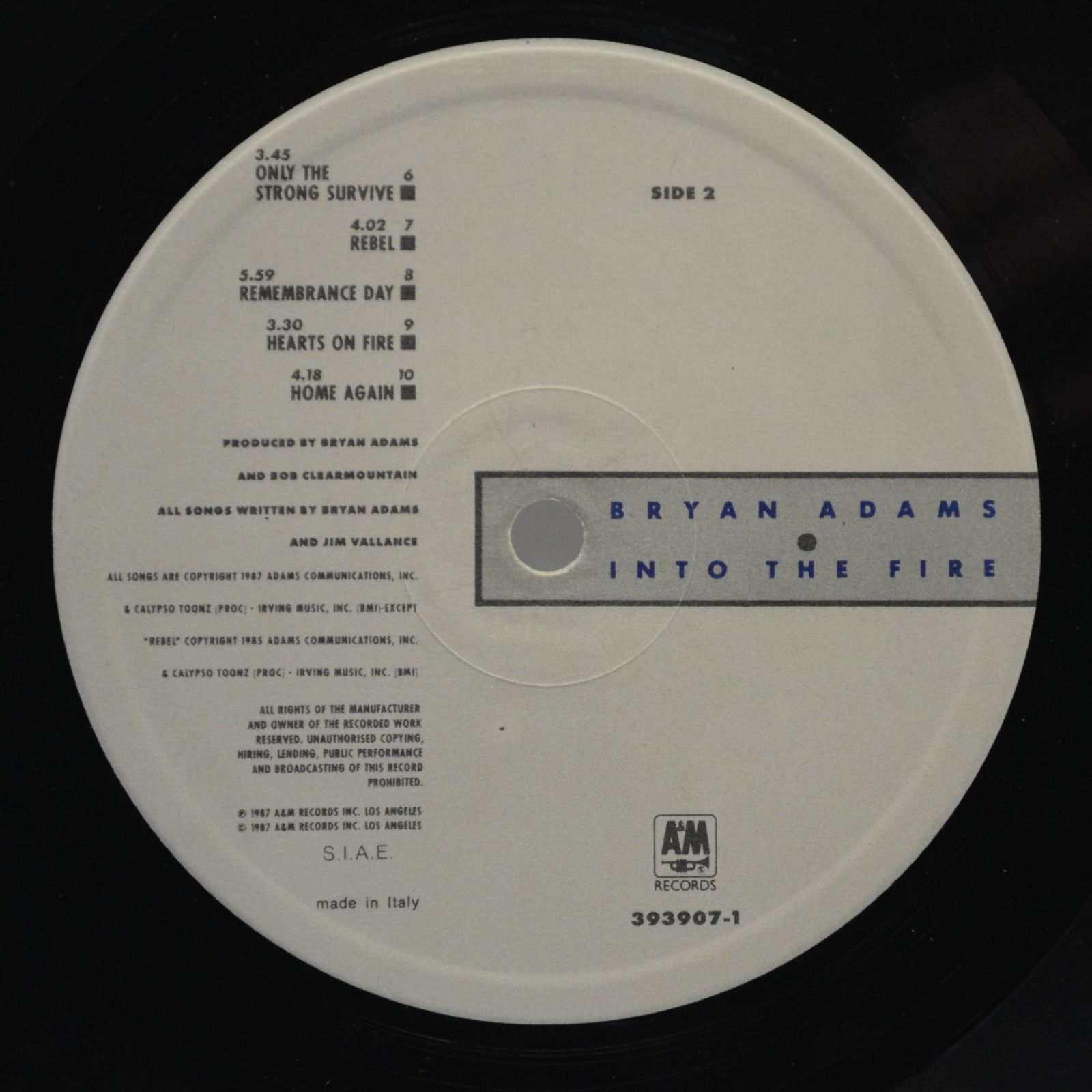 Виниловая пластинка Bryan Adams — Into The Fire, 1987