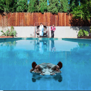 Hippopotamus