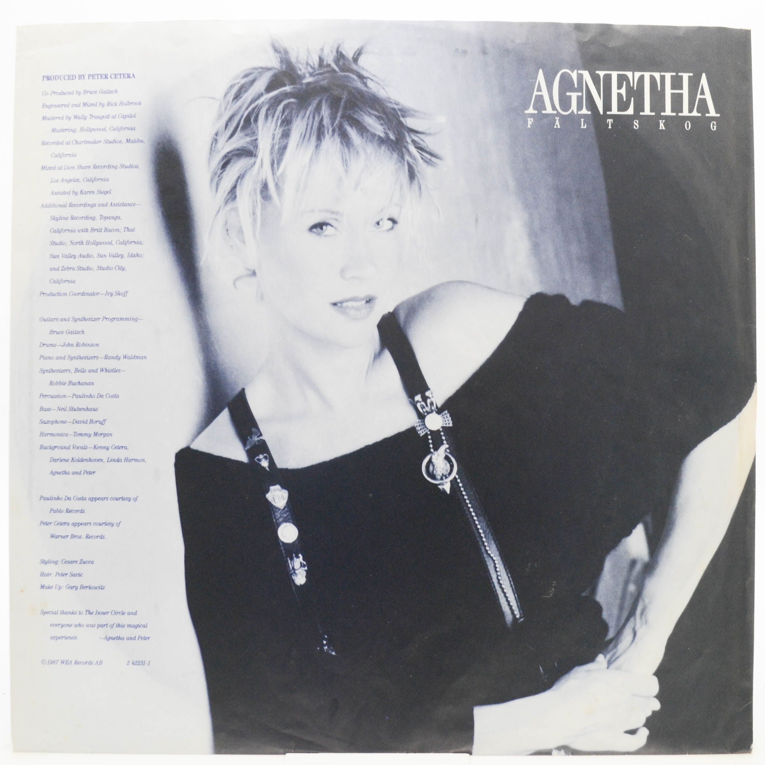 Виниловая пластинка Agnetha Fältskog — I Stand Alone, 1987