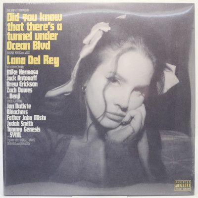 Виниловая пластинка Did You Know That There's A Tunnel Under Ocean Blvd (2LP), 2023