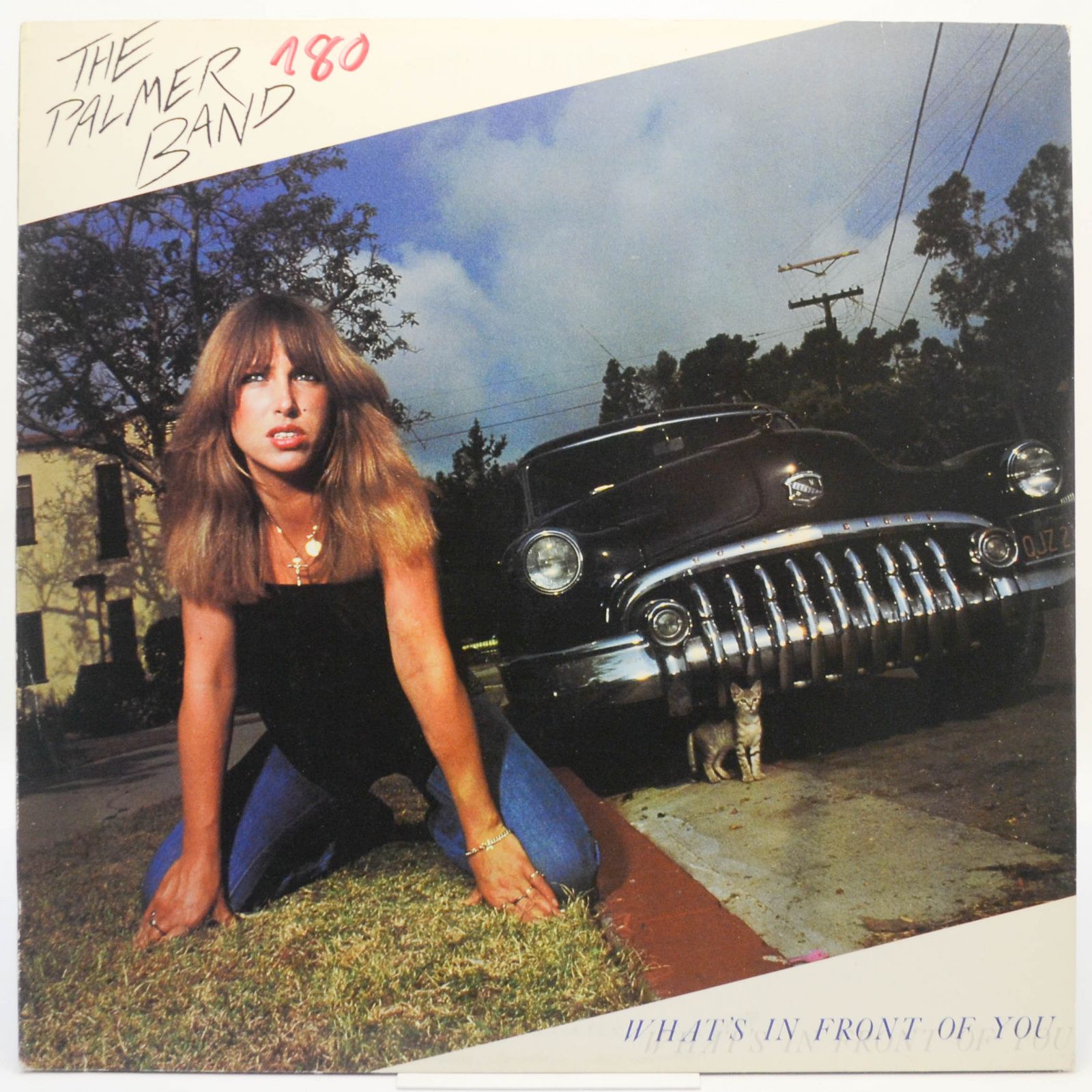 Виниловая пластинка Palmer Band — What's In Front Of You, 1980