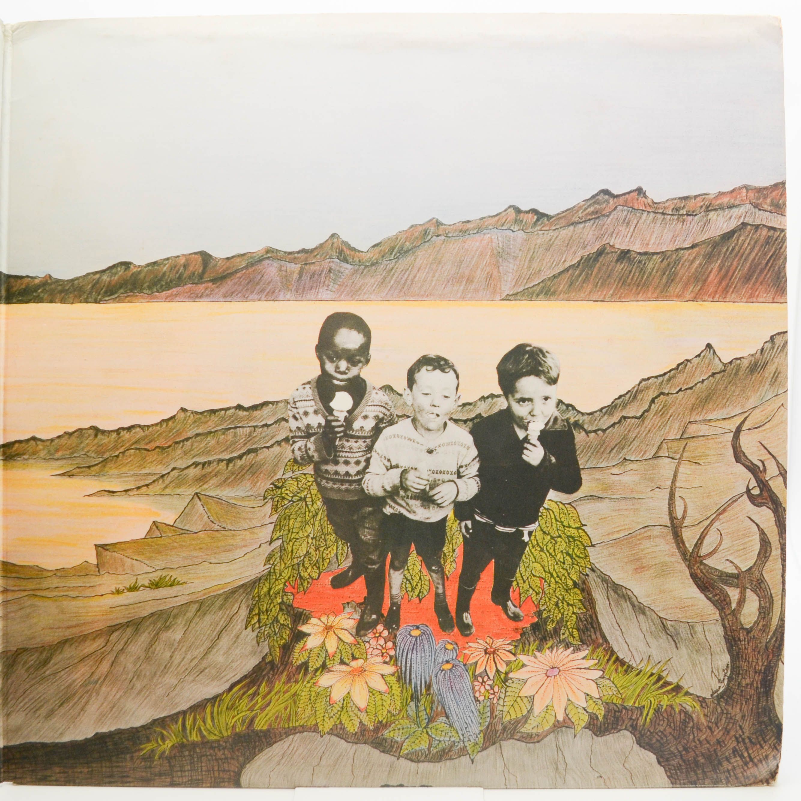 Виниловая пластинка Edgar Broughton Band — Sing Brother Sing, 1970