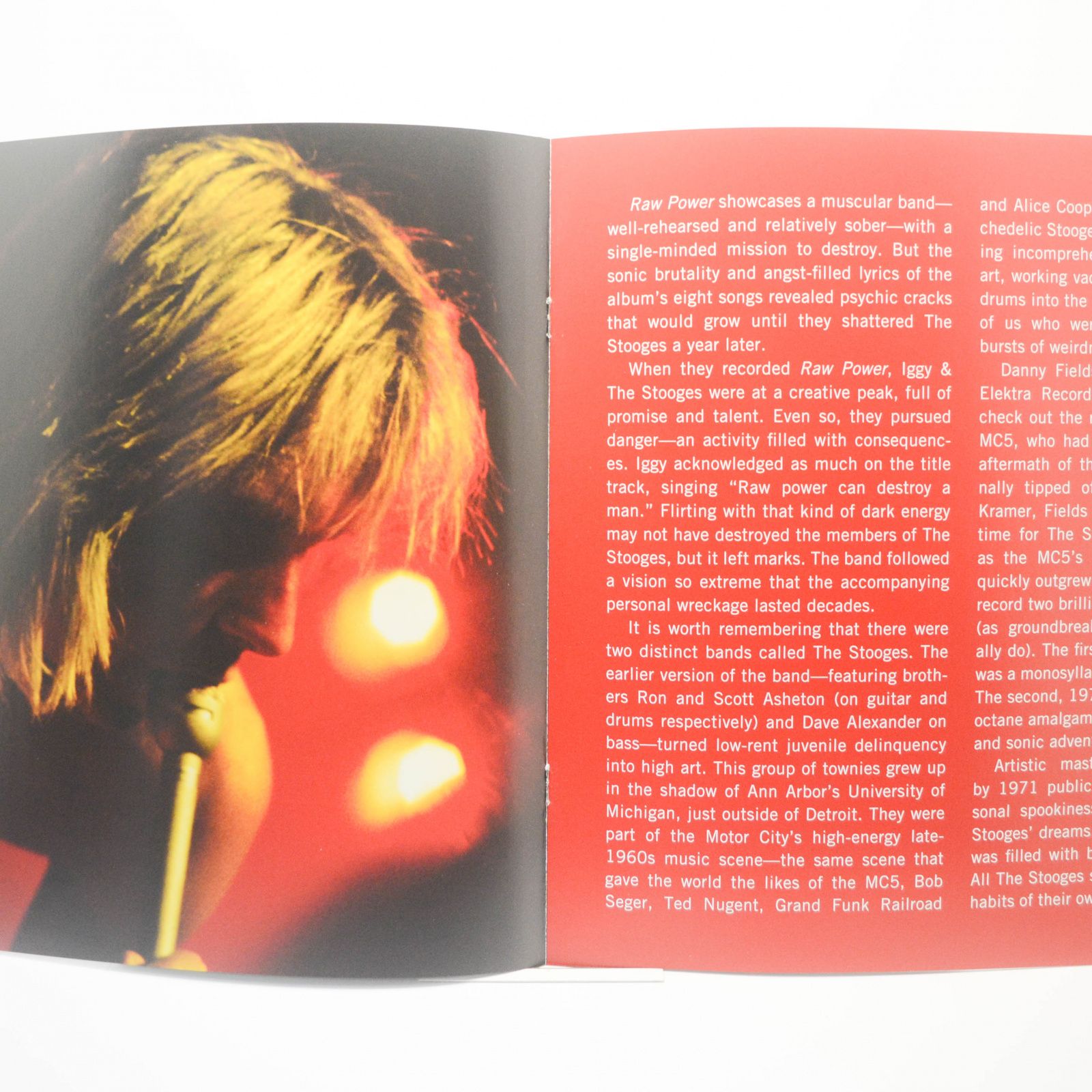 Виниловая пластинка Iggy And The Stooges — Raw Power (2LP), 1973