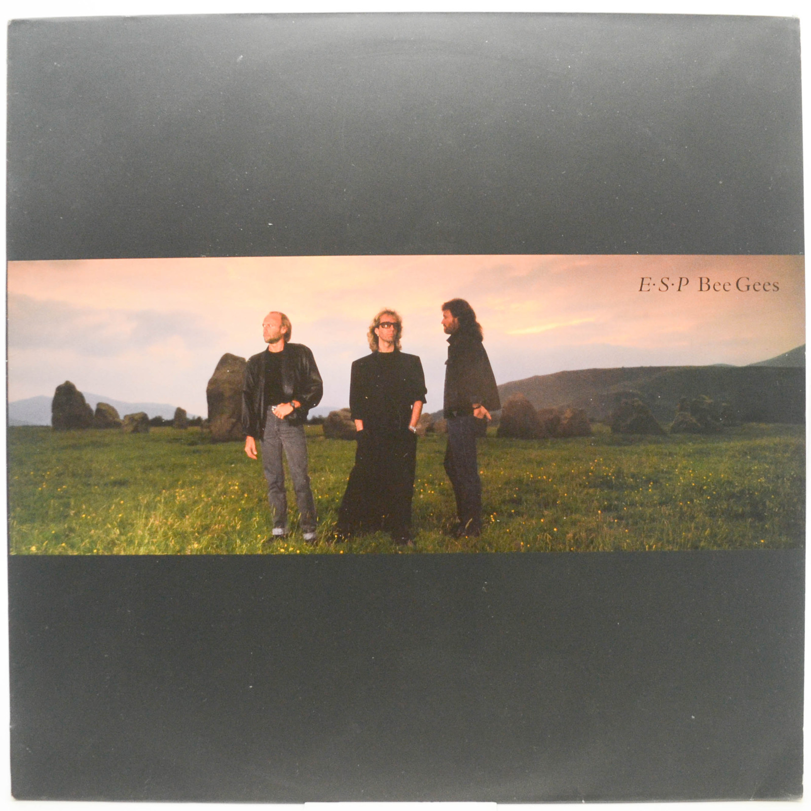 Bee Gees — E·S·P, 1987