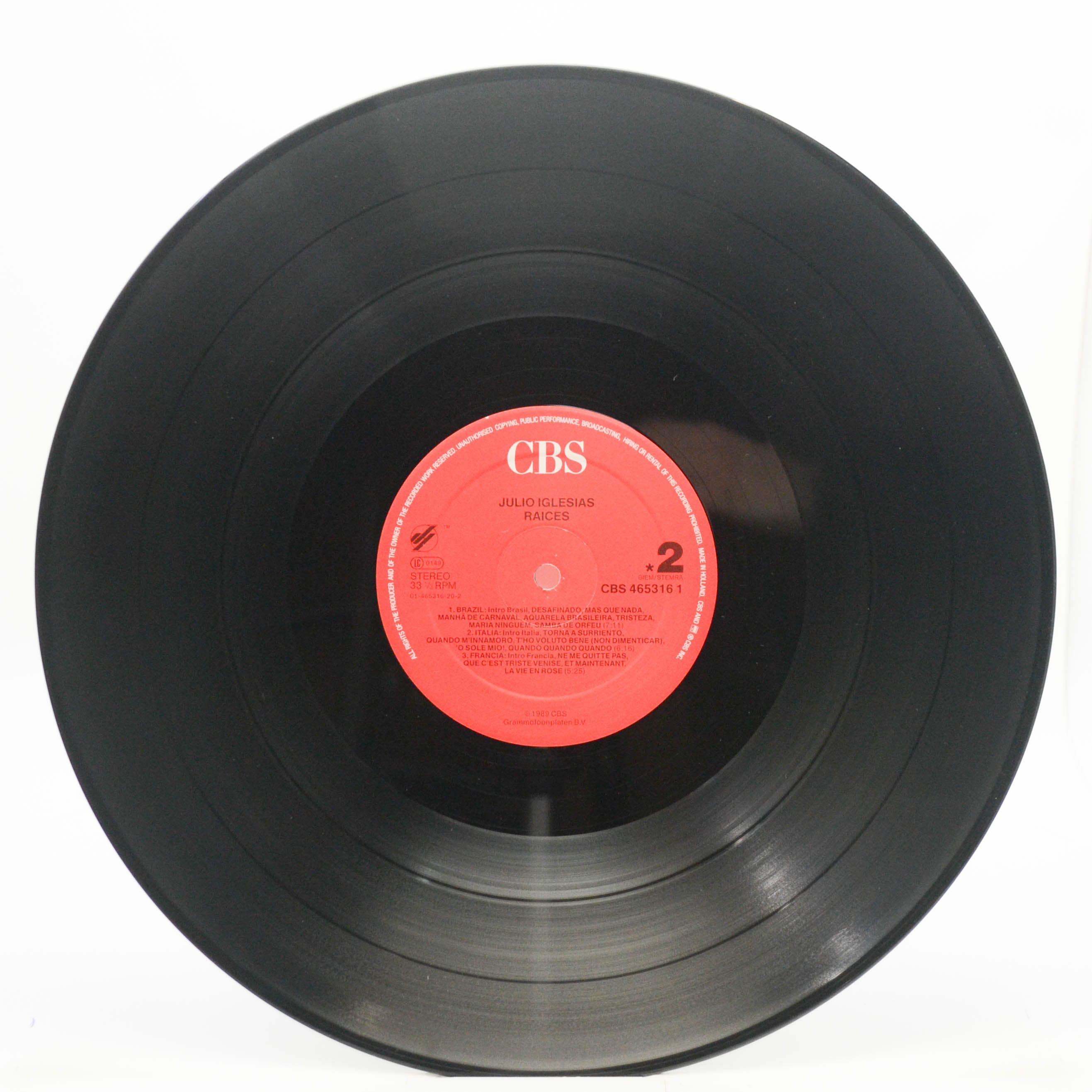 Julio Iglesias — Raices, 1989