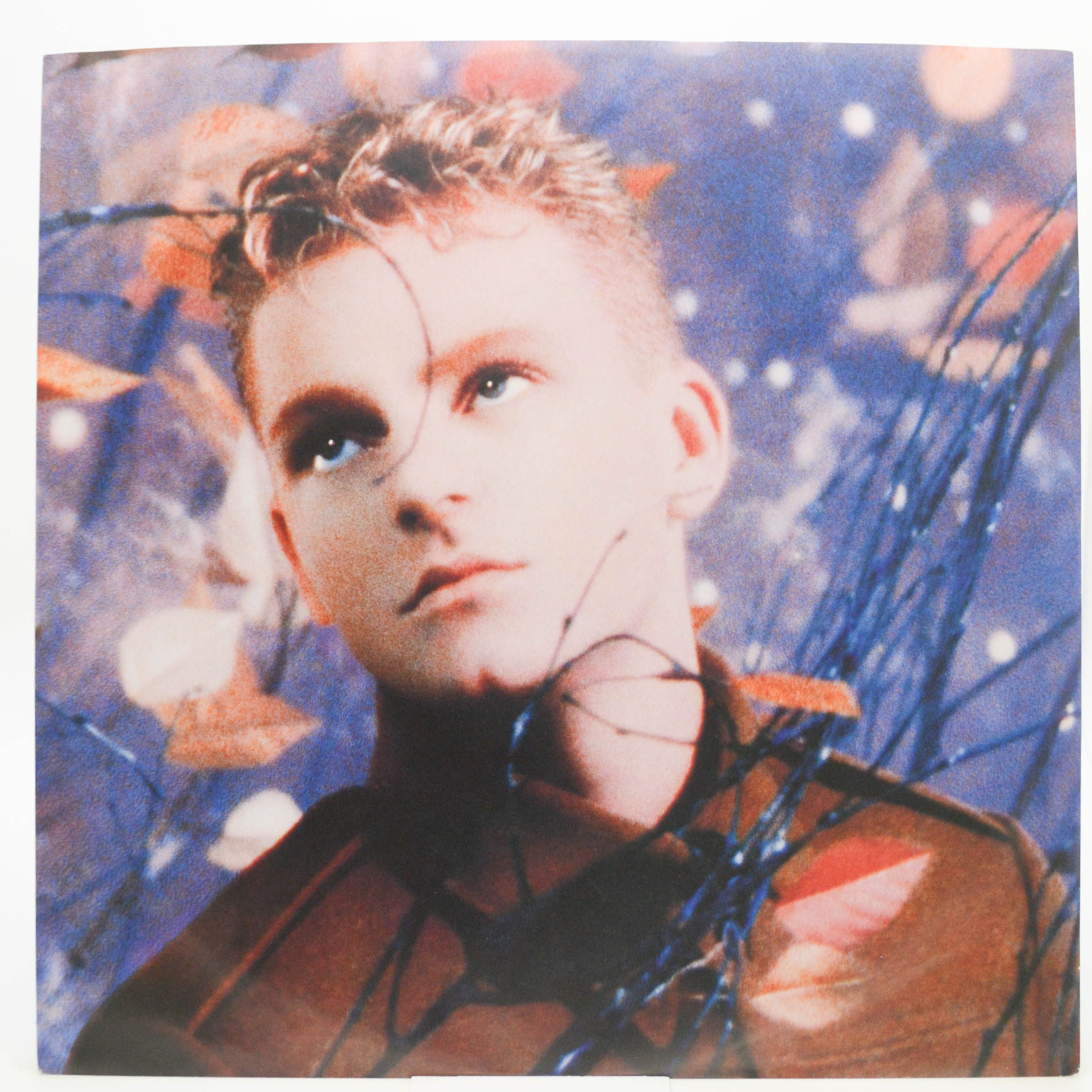 Erasure — Wild!, 1989