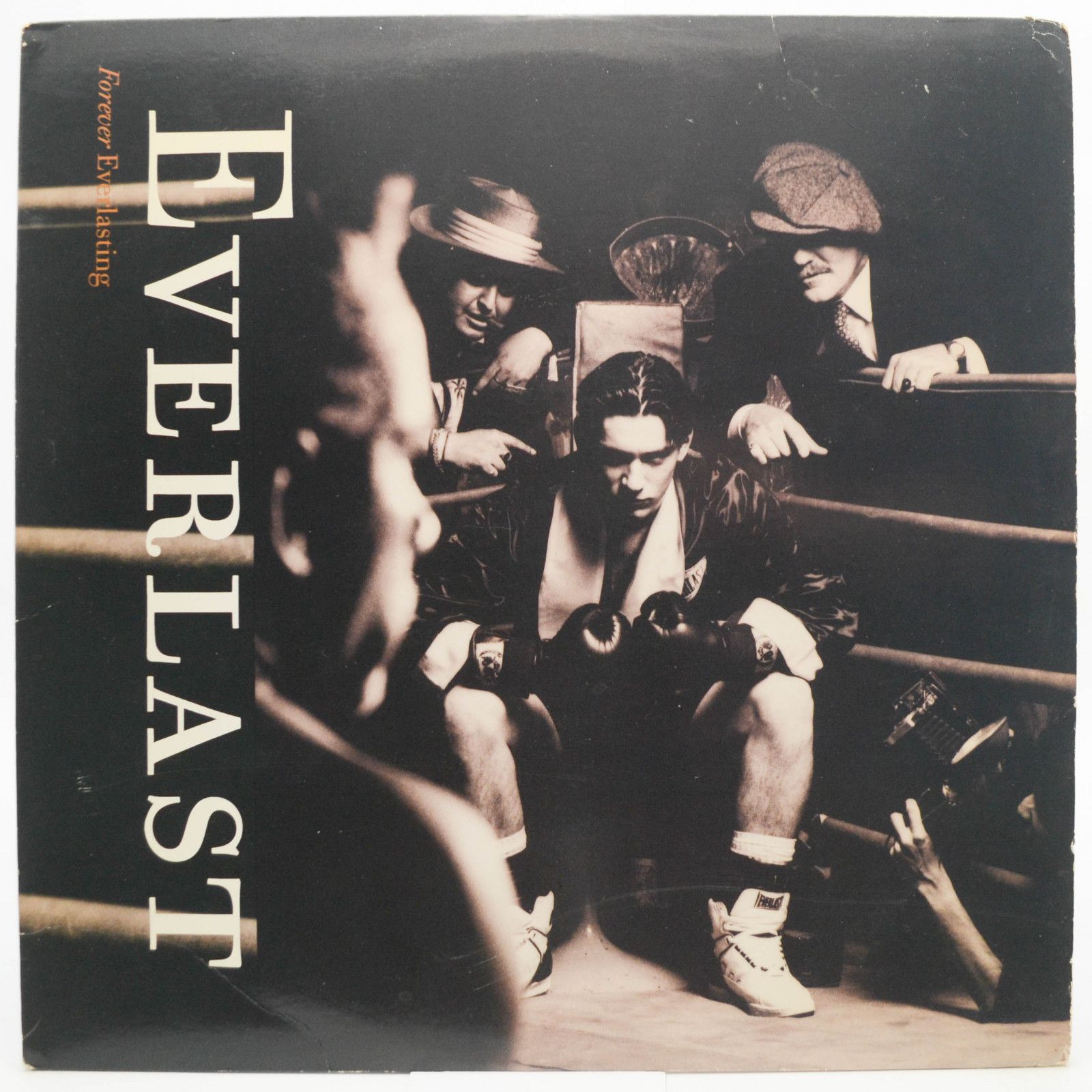 Виниловая пластинка Everlast — Forever Everlasting (1-st, USA), 1990