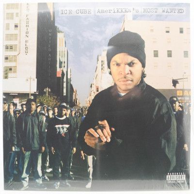 Виниловая пластинка AmeriKKKa's Most Wanted, 1990