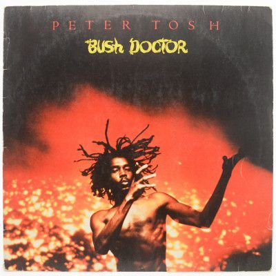 Виниловая пластинка Bush Doctor, 1978