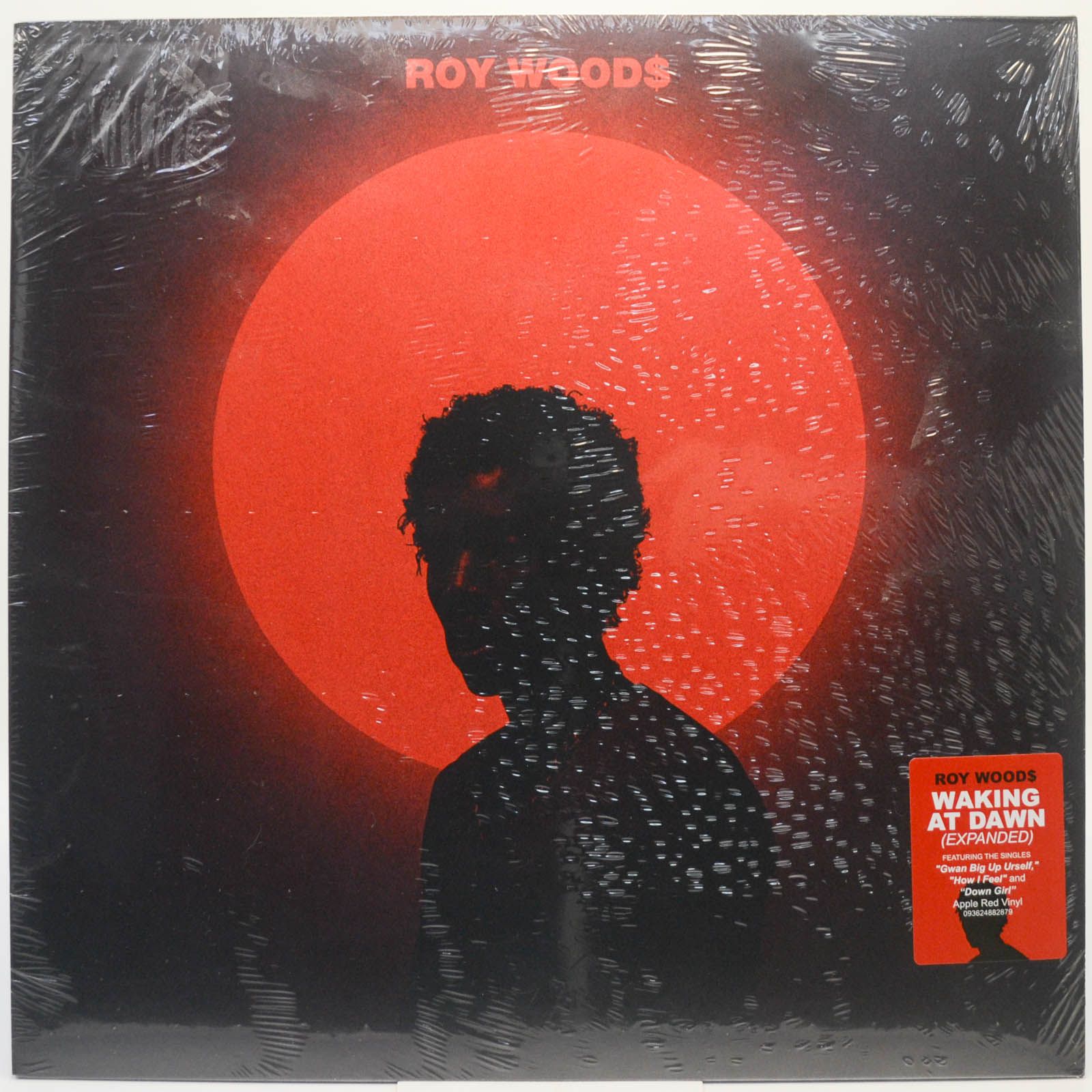 Виниловая пластинка Roy Woods — Waking At Dawn (Expanded) (USA), 2021