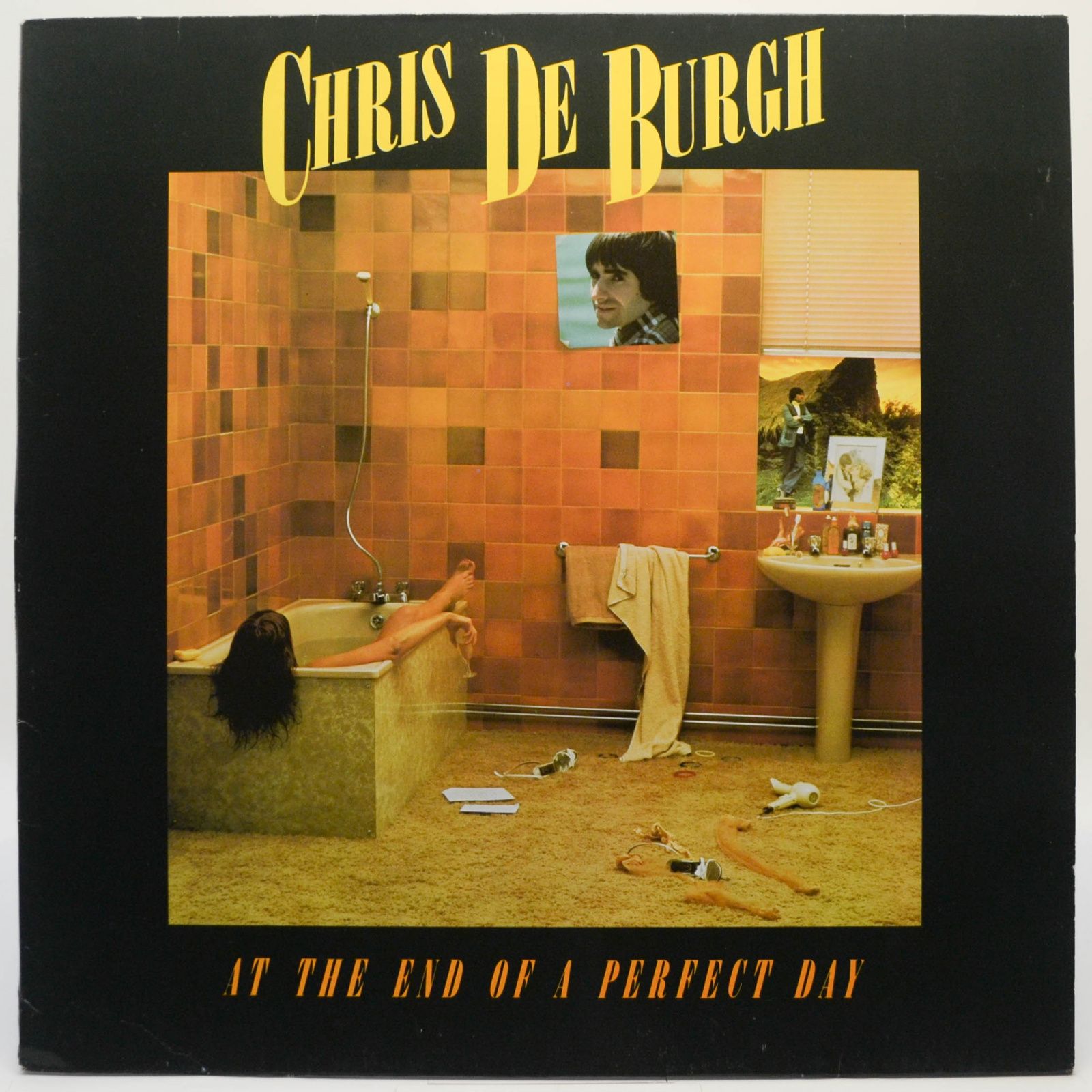 Виниловая пластинка At The End Of A Perfect Day, 1977