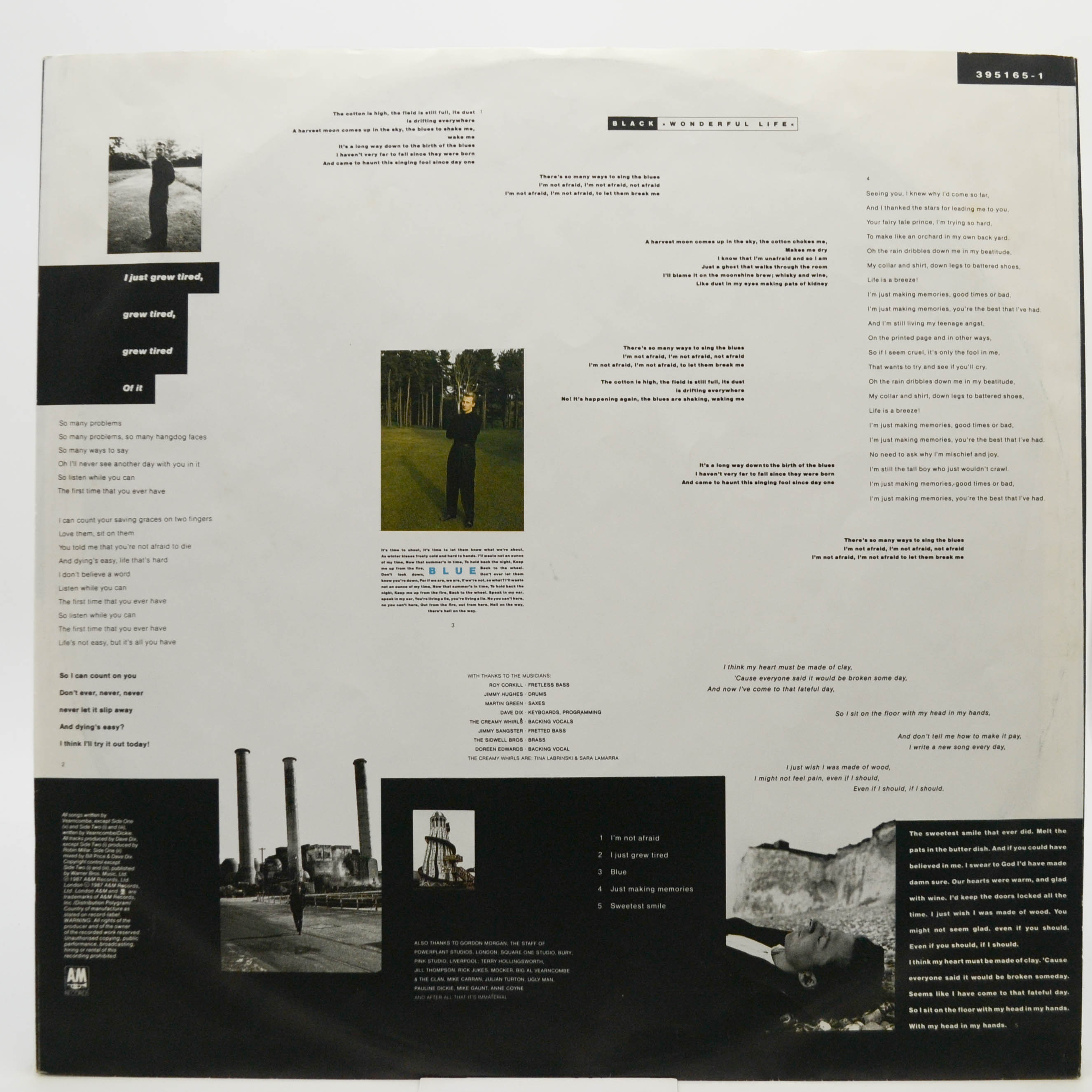 Виниловая пластинка Black — Wonderful Life, 1987