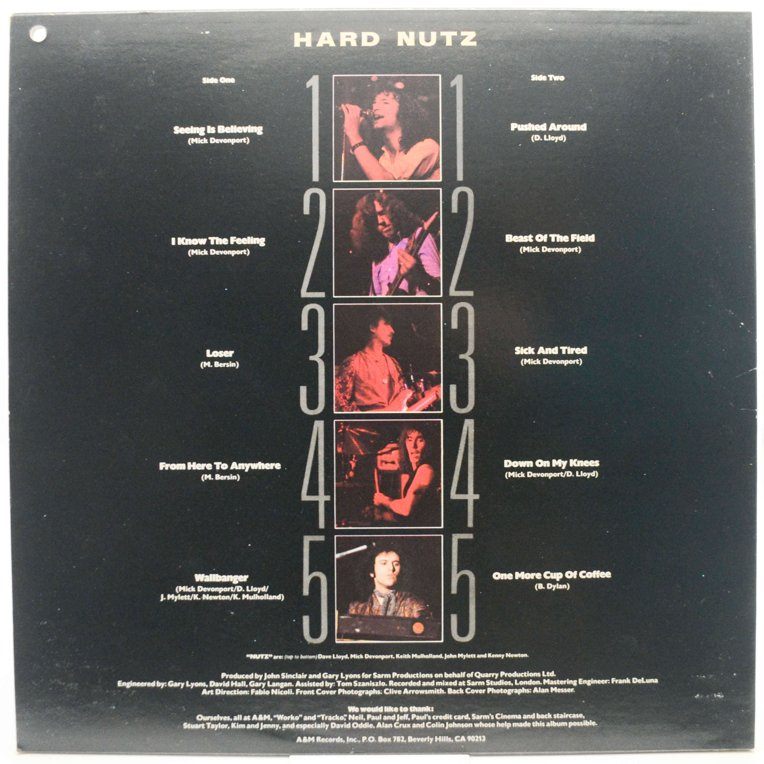 Виниловая пластинка Nutz — Hard Nutz (USA), 1977