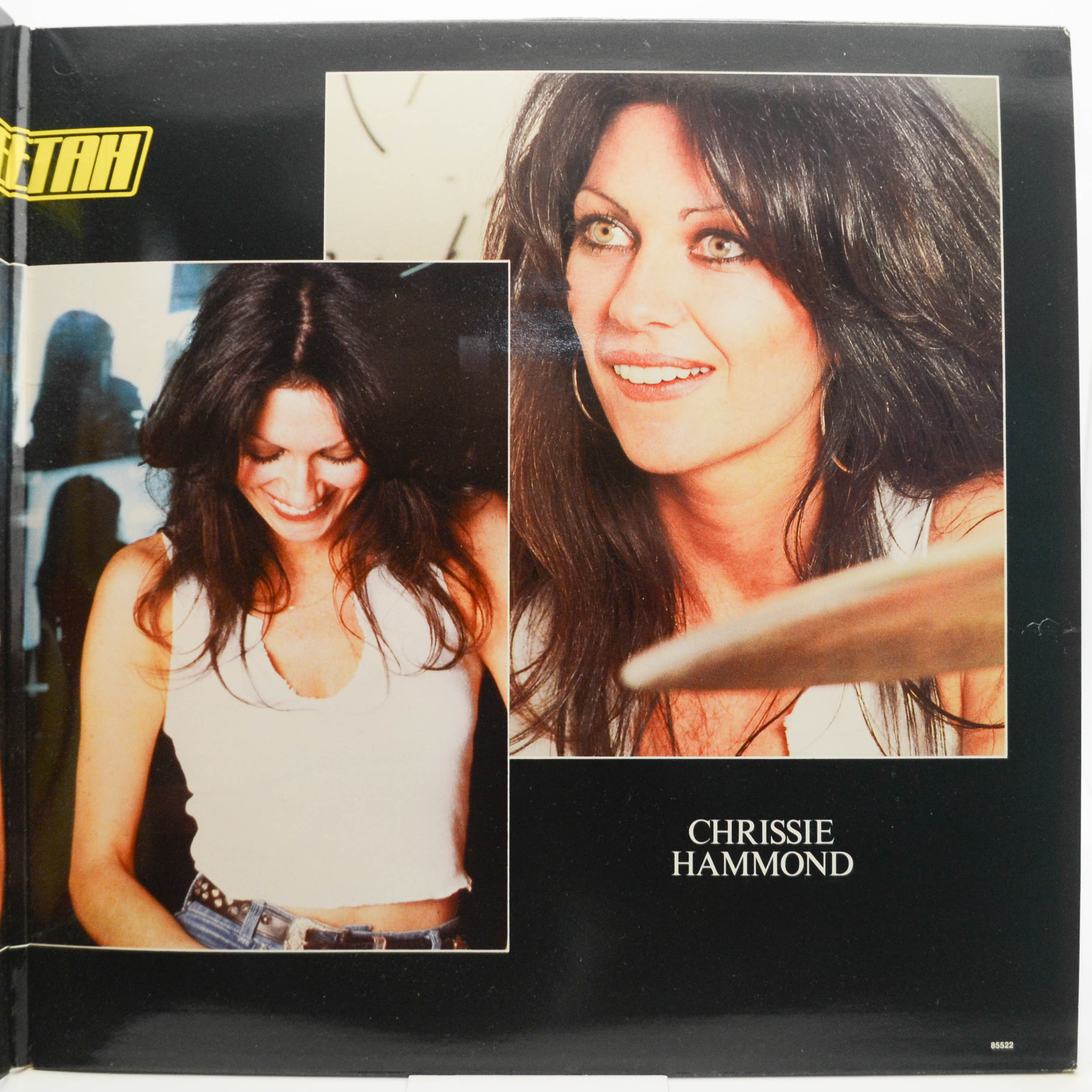 Cheetah — Rock & Roll Women, 1981