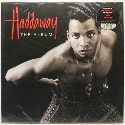 Виниловая пластинка The Album, 1993