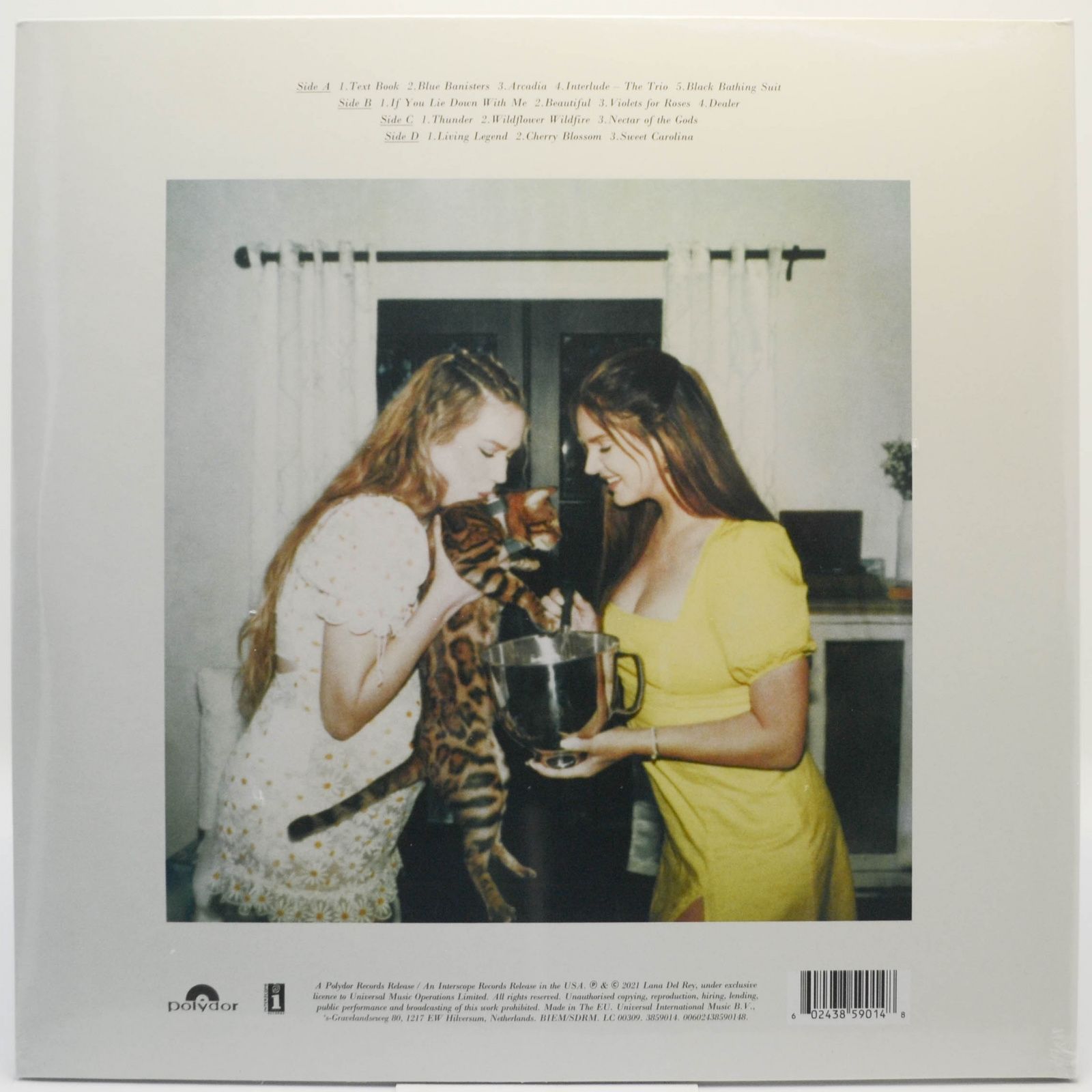 Виниловая пластинка Lana Del Rey — Blue Banisters (2LP), 2021