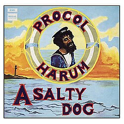A Salty Dog