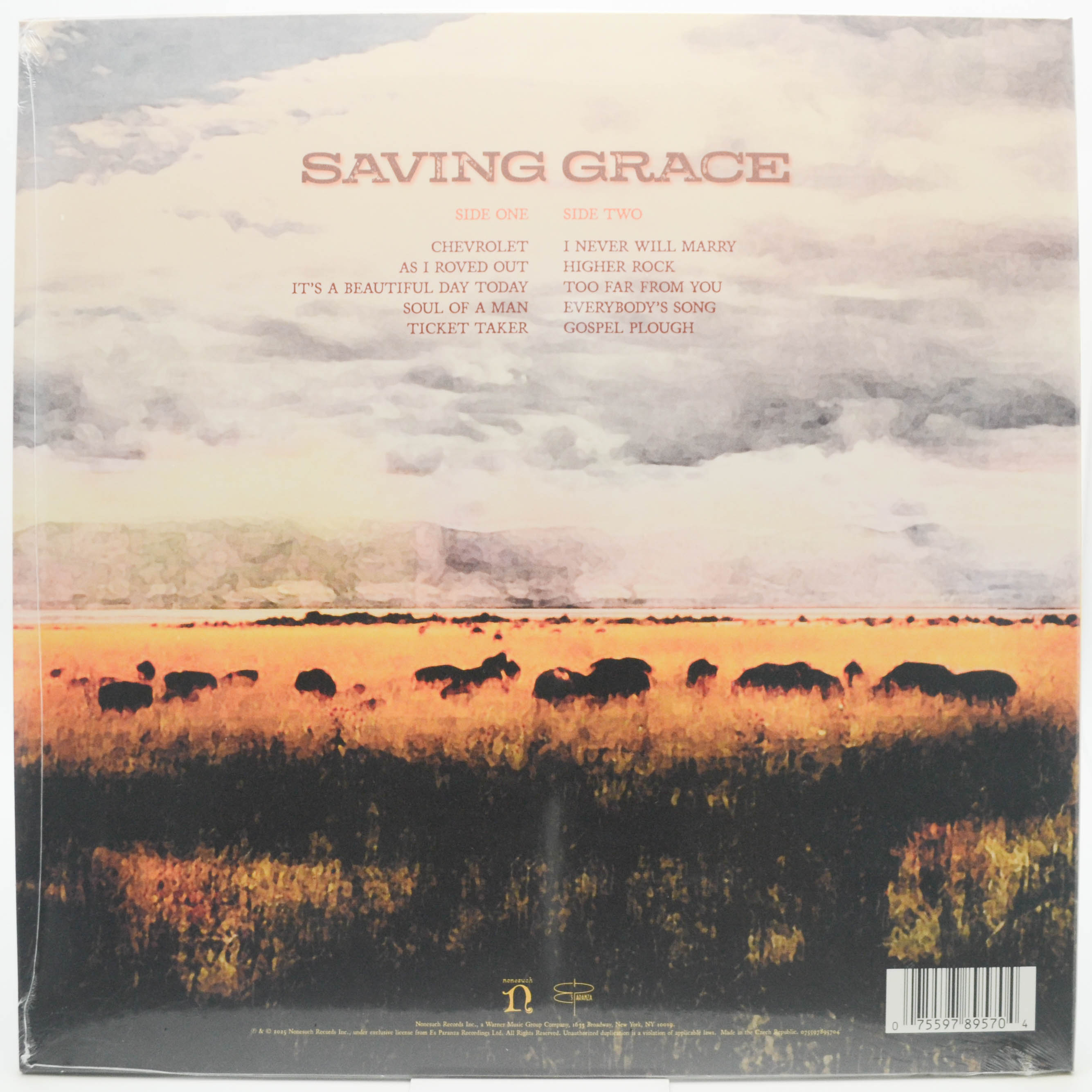 Виниловая пластинка Robert Plant With Suzi Dian — Saving Grace, 2025
